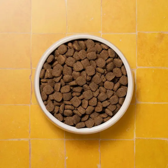 Buy Pooch & Mutt - Adult Minis Superfood Complete Dry Dog Food, Chicken, 7.5kg | Small Sized Kibble, For Small Dogs, Grain Free, Complete Dog Food, Packaging May Vary, 5 image