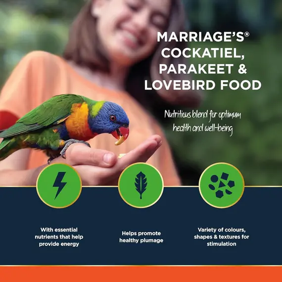 Buy Marriages - Parakeet and Cockatiel Food, Wholesome Bird Seed Mix (3kg) | Lovebird Food with Oats, Nyjer Seed, and Millet, Packed with Fibre and Protein, 3 image