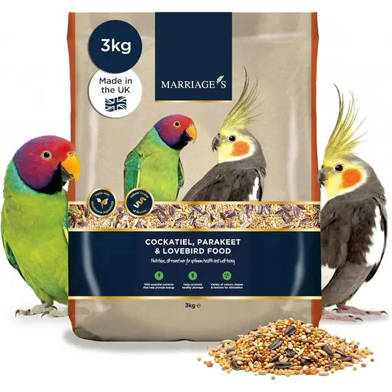 Buy Marriages - Parakeet and Cockatiel Food, Wholesome Bird Seed Mix (3kg) | Lovebird Food with Oats, Nyjer Seed, and Millet, Packed with Fibre and Protein