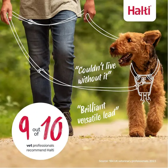 Buy Halti Training Lead for Dogs | Size Large, Black, 2m | No-Pull Double-Ended Dog Lead | Light, Soft & Durable | Ideal for Obedience Training & Everyday Walks with Dogs & Puppies, 6 image