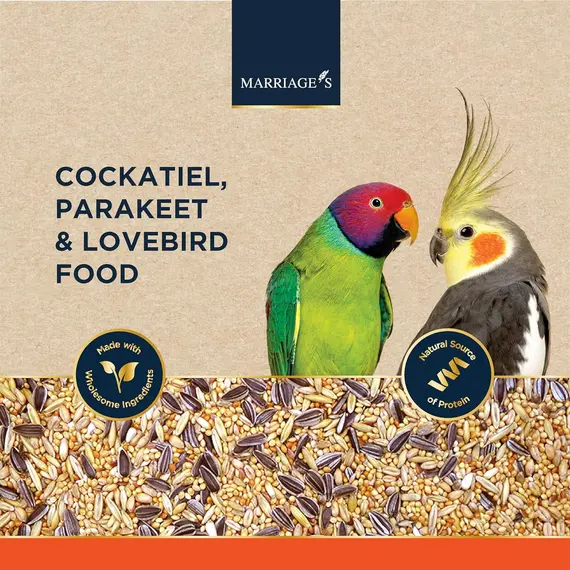 Buy Marriages - Parakeet and Cockatiel Food, Wholesome Bird Seed Mix (3kg) | Lovebird Food with Oats, Nyjer Seed, and Millet, Packed with Fibre and Protein, 2 image