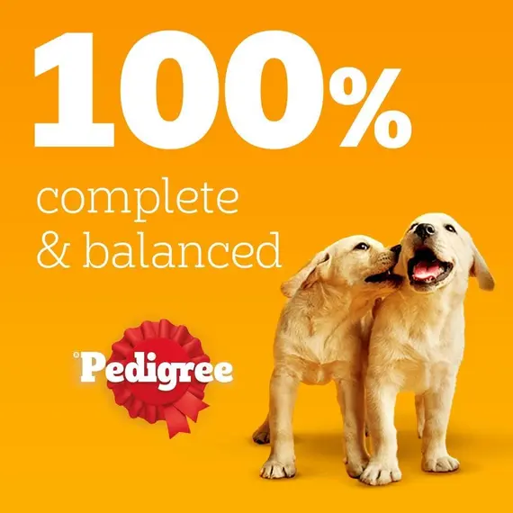 Buy PEDIGREE Puppy Dog Food Pouches Chunks in Jelly, 40 x 100g Multipack, Four Flavours (with Beef & Liver, Chicken, Lamb & Liver and Poultry), 9 image