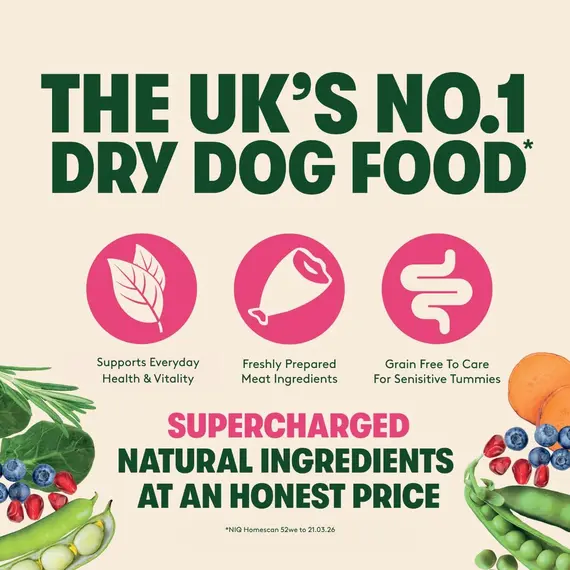 Buy Harringtons Superfoods Dry Adult Dog Food Salmon & Veg 1.7kg (Pack of 4) | Made with High Quality & All Natural Ingredients - Supports Everyday Health & Vitality - Grain Free for Sensitive Tummies, 3 image