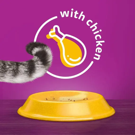 Buy WHISKAS Adult Dry Cat Food 7kg with Chicken, 9 image