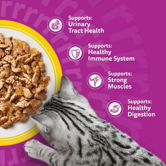 Buy WHISKAS Senior 7+ Wet Cat Food in Jelly 40x85g Poultry Feasts, 7 image