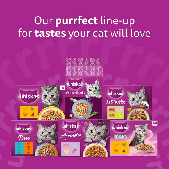 Buy WHISKAS Senior 11+ Wet Cat Food in Jelly 12x85g Fish Favourites (Pack of 4), 9 image