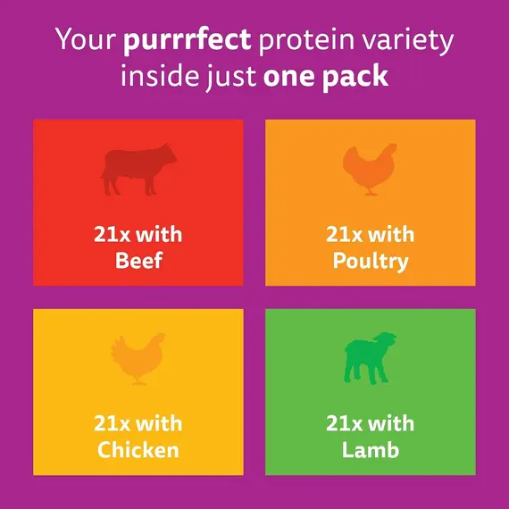 Buy whiskas Junior Classic Selection in Gravy 84 Pouches, Wet Kitten and Cat Food, Selection of Beef, Lamb, Chicken and Poultry, Megapack (84 x 85 g), 5 image