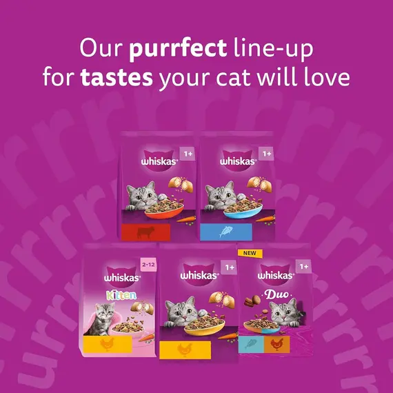 Buy WHISKAS Adult Dry Cat Food 800g with Tuna (Pack of 5), 8 image