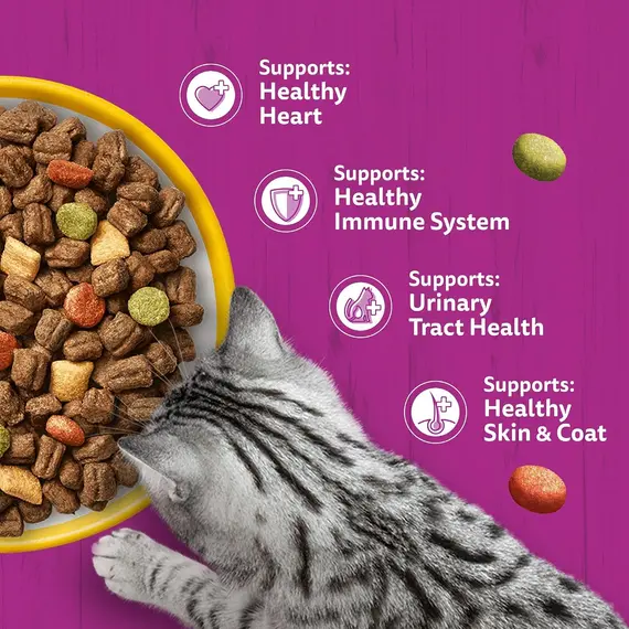 Buy WHISKAS Senior Dry Cat Food 1.9kg with Chicken (Pack of 4), 6 image