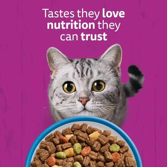 Buy WHISKAS Adult Dry Cat Food 800g with Tuna (Pack of 5), 7 image