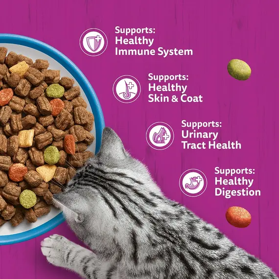 Buy WHISKAS Adult Dry Cat Food 800g with Tuna (Pack of 5), 6 image
