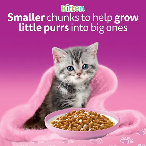 Buy whiskas Junior Classic Selection in Gravy 84 Pouches, Wet Kitten and Cat Food, Selection of Beef, Lamb, Chicken and Poultry, Megapack (84 x 85 g), 8 image
