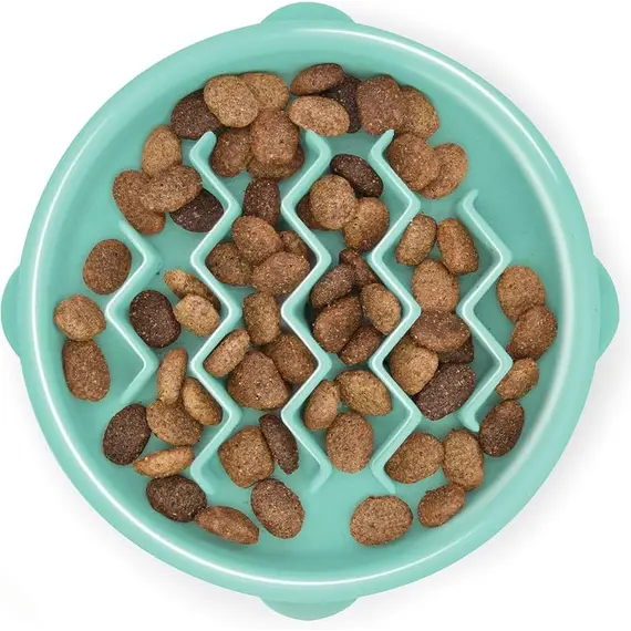 Buy Outward Hound Puppy Slow Feeder Dog Bowl - Also suitable for Cats