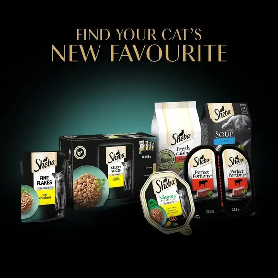 Buy Sheba Fine Flakes in Jelly – Poultry Collection – Wet Cat Food Pouches for Adult Cats – 48 x 85 g Pack, 10 image