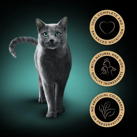 Buy Sheba Fine Flakes in Jelly – Poultry Collection – Wet Cat Food Pouches for Adult Cats – 48 x 85 g Pack, 3 image