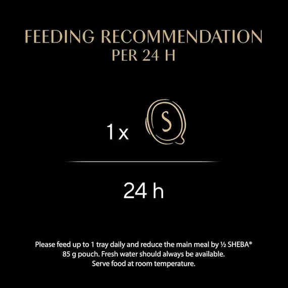 Buy SHEBA Filets Adult Cat Food With Chicken, Ocean Fish & Shrimp, Salmon & Tuna in gravy 6x60g Tray, 4 image