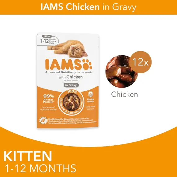 Buy IAMS Kitten Wet Cat Food Chicken in Gravy 12 x 85g, 4 image