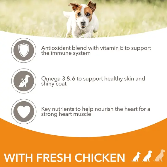 Buy IAMS Adult Small Medium Complete Dry Dog Food Chicken 5kg - With DentalCare System, 4 image