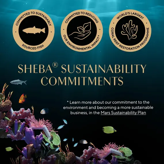 Buy SHEBA Fresh & Fine Cat Pouches Fish collection in Gravy 50x50g, 9 image