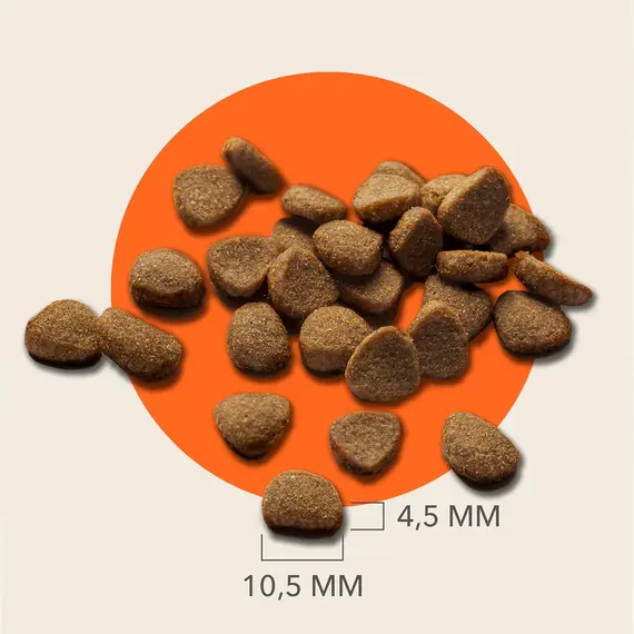 Buy IAMS Grain Free Adult Complete Dry Cat Food Chicken 2.5kg - Supports Strong Immune System, 5 image