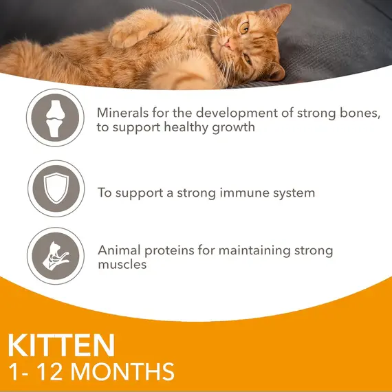 Buy IAMS Kitten Wet Cat Food Chicken in Gravy 12 x 85g, 5 image