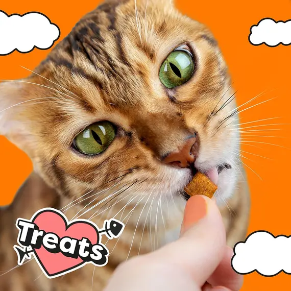 Buy Dreamies Cat Treats, Tasty Snacks with Delicious Salmon Flavour, Pack of 2 (2 x 350 g), 10 image
