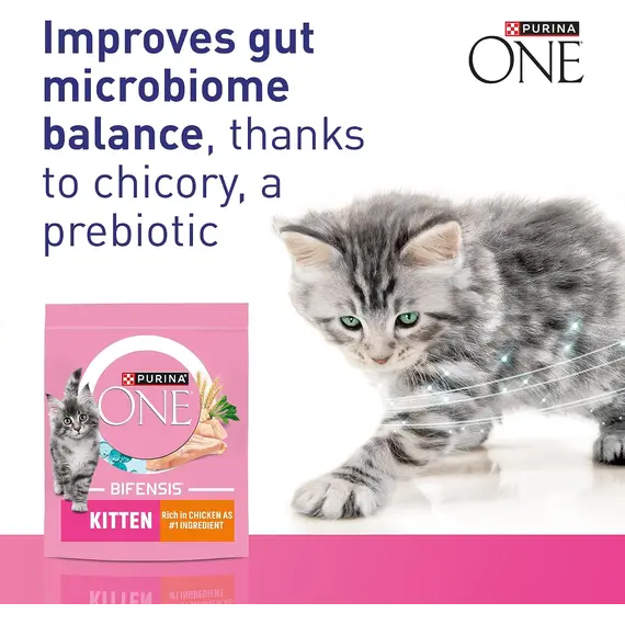 Buy PURINA ONE Kitten Chicken Dry Cat Food 750g (Pack of 4), 2 image
